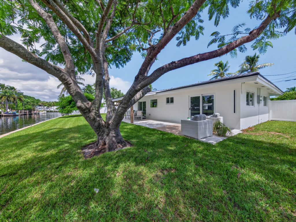Royal Poinciana tree shading the rear lawn with the canal beyond